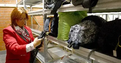 Поиск забытых вещей