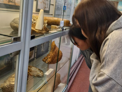 14 выпускников получили возможность целевого обучения в  ДВГУПС по итогам предметной олимпиады